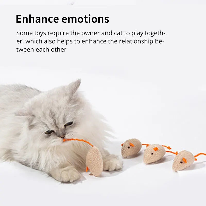 Souris en Peluche au Design Mignon, Résistante aux Morsures, avec Herbe à Chat