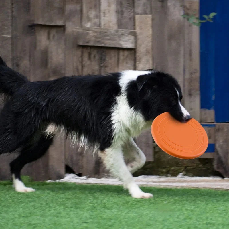 Disque Volant en Silicone